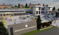 Bursa Gemlik Belediyesi patili dostlara sahip çıkıyor