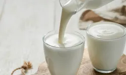 Ayran ve kefir üretimi arttı