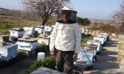Süne mücadelesi faydalı canlıları tehdit ediyor