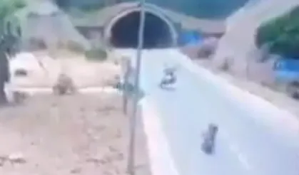 Antalya'da trajik kaza! Bakan Yerlikaya yine uyardı