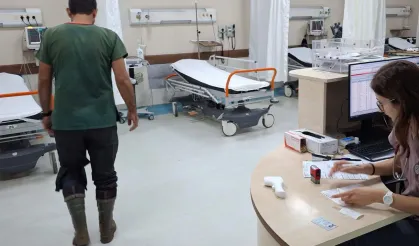 Bursa'da veteriner hekim sokak köpeği tarafından ısırıldı!