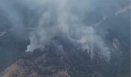 Karabük Yeşilköy’de orman yangını