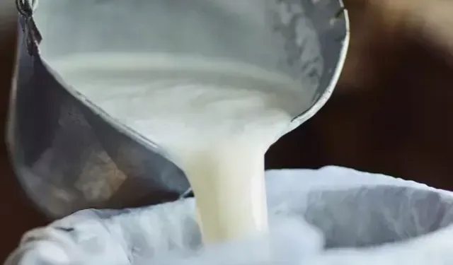 Şubat'ta süt ürünleri üretiminde düşüş... Ayran ve kefir üretimi yüzde 6,9 arttı